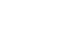 International Partnership Austria donor logo